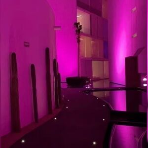 Vibrant Pink LED Lighting
